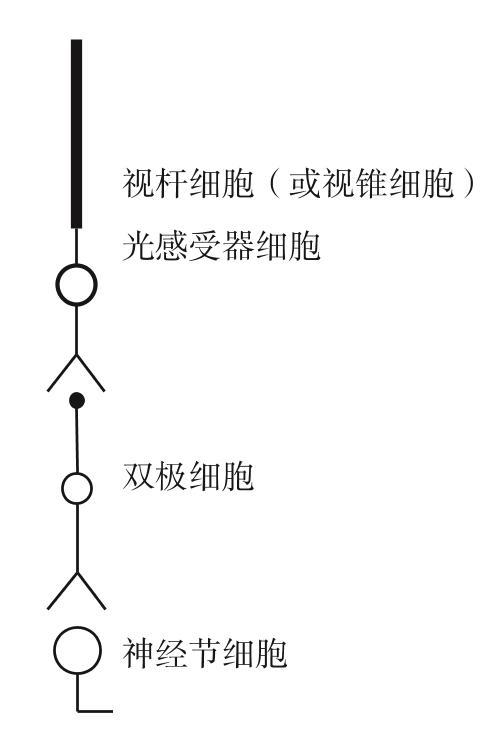 阅读 ‧ 电子书库