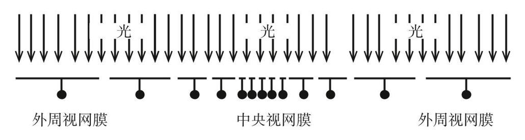 阅读 ‧ 电子书库