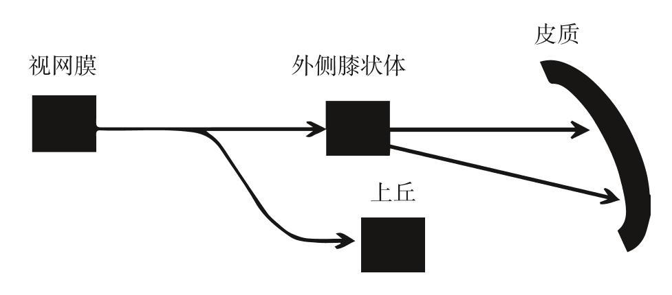 阅读 ‧ 电子书库