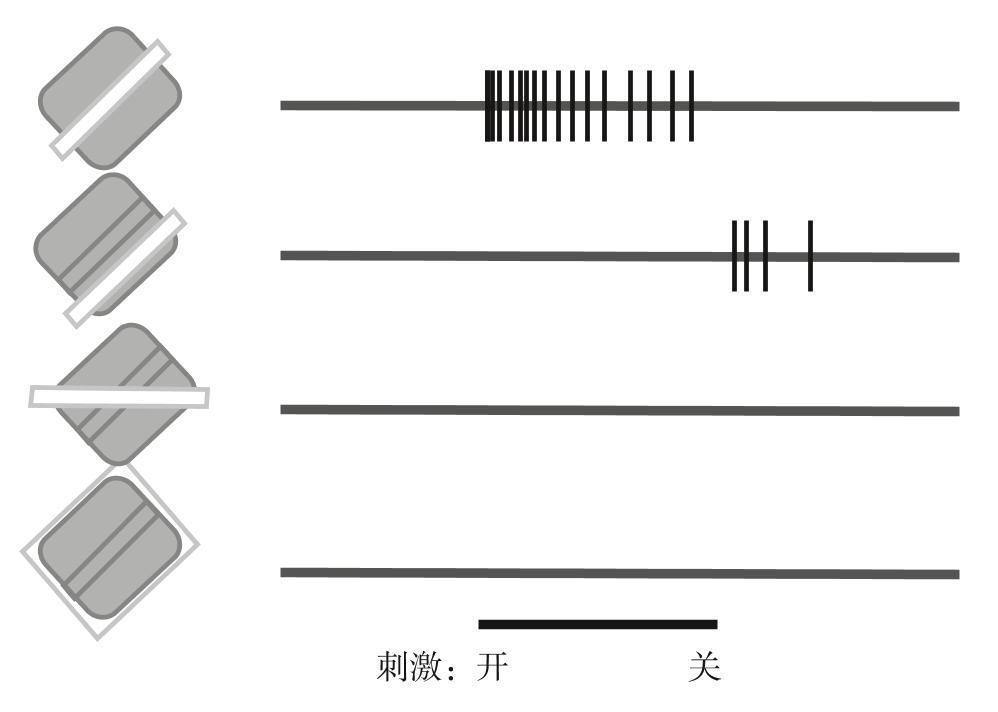 阅读 ‧ 电子书库