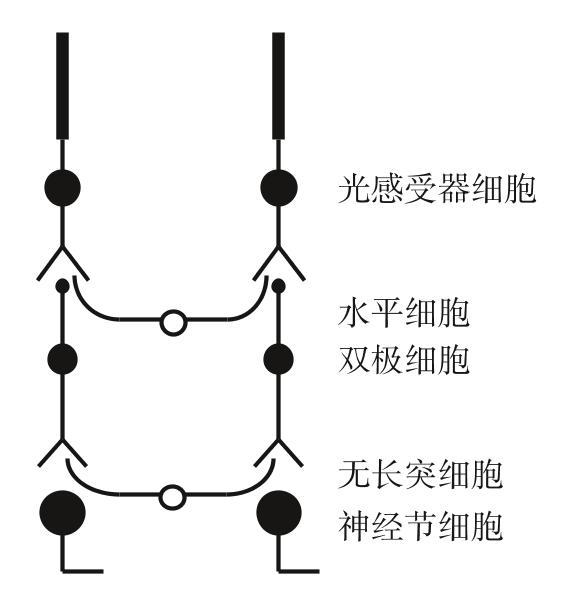 阅读 ‧ 电子书库