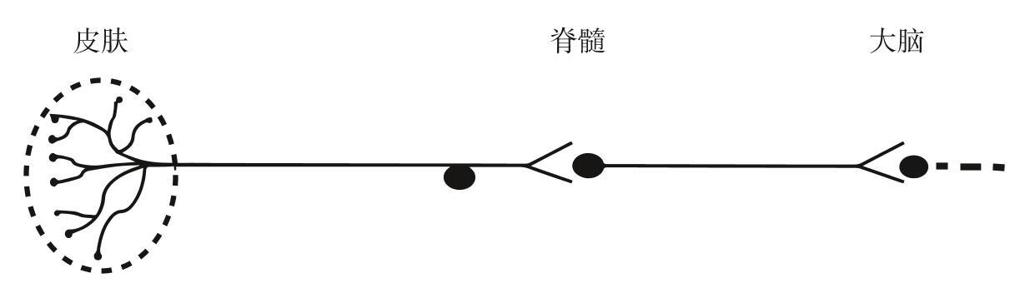 阅读 ‧ 电子书库