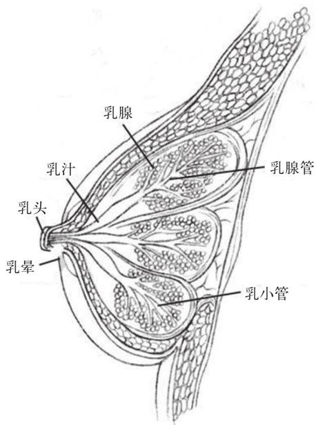 阅读 ‧ 电子书库