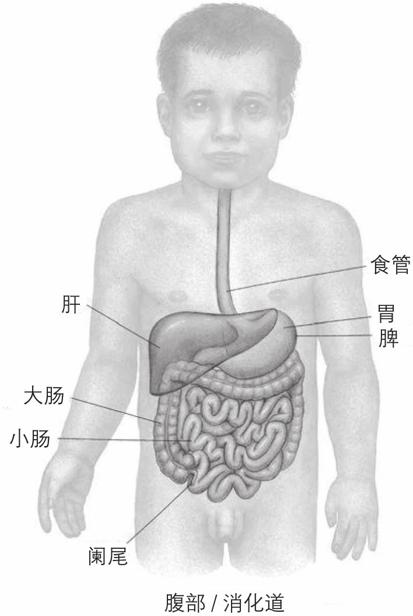 阅读 ‧ 电子书库