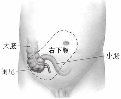 阅读 ‧ 电子书库