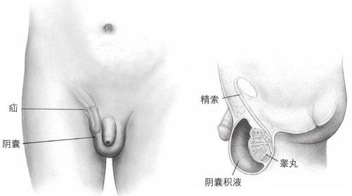 阅读 ‧ 电子书库