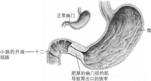 阅读 ‧ 电子书库