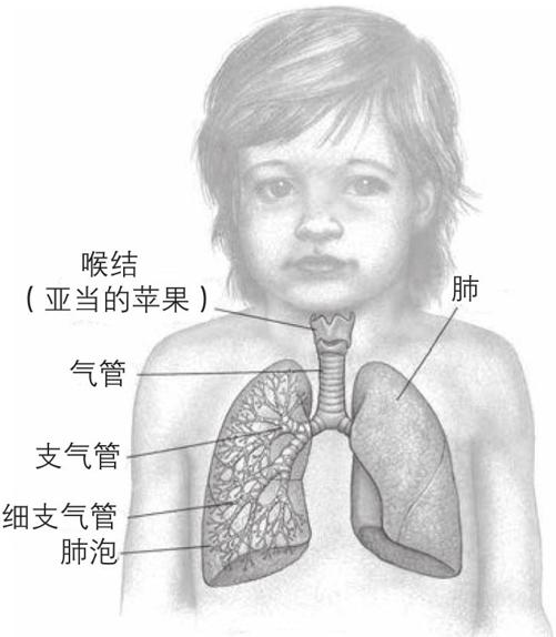 阅读 ‧ 电子书库