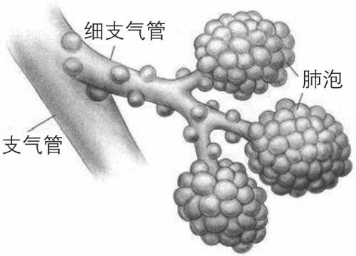 阅读 ‧ 电子书库