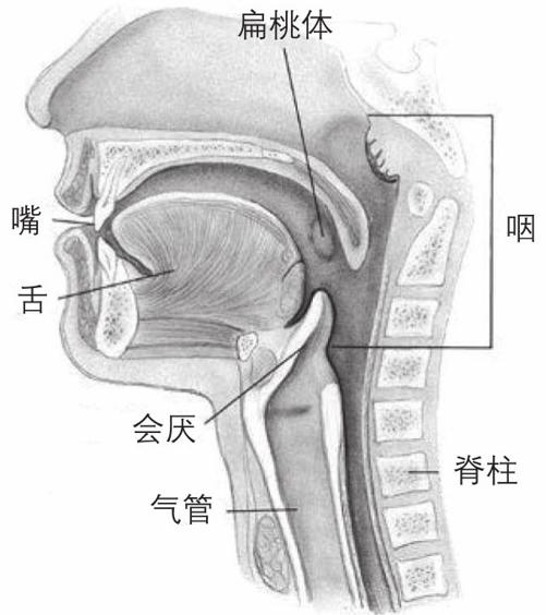 阅读 ‧ 电子书库