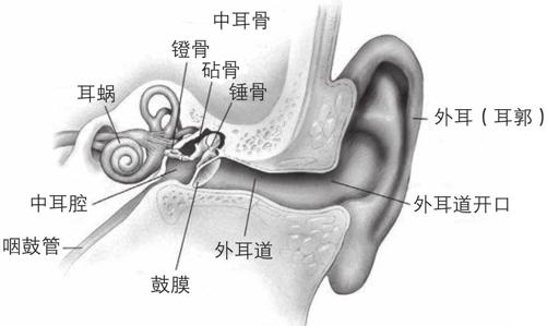 阅读 ‧ 电子书库