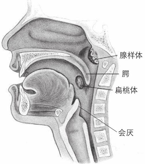 阅读 ‧ 电子书库