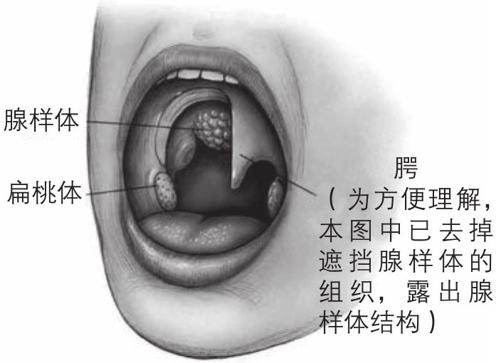阅读 ‧ 电子书库