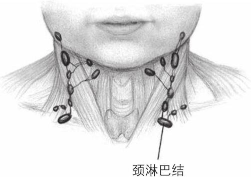 阅读 ‧ 电子书库