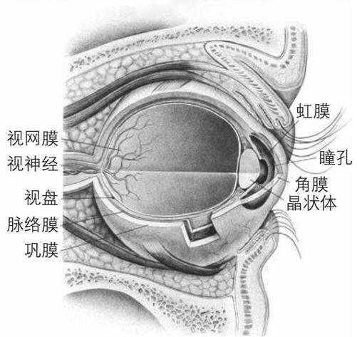 阅读 ‧ 电子书库