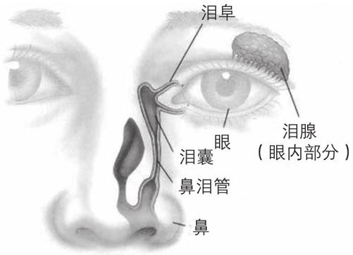 阅读 ‧ 电子书库