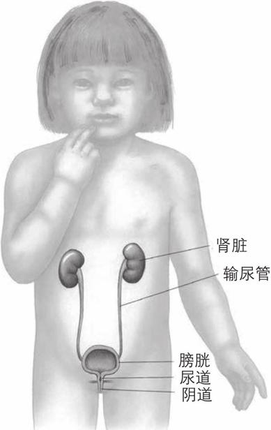 阅读 ‧ 电子书库