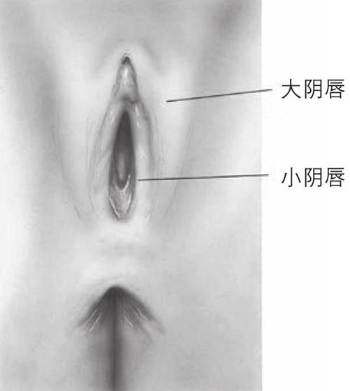 阅读 ‧ 电子书库