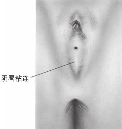 阅读 ‧ 电子书库