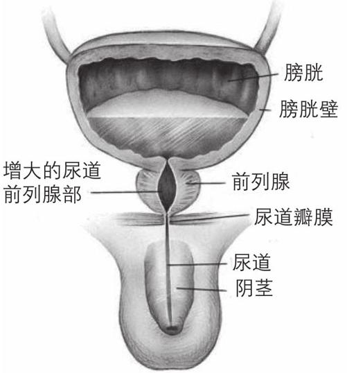阅读 ‧ 电子书库
