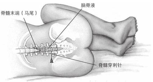 阅读 ‧ 电子书库
