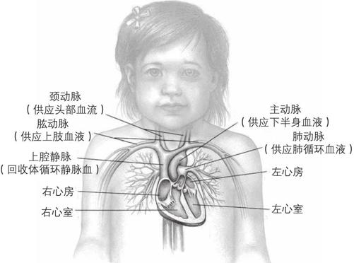 阅读 ‧ 电子书库