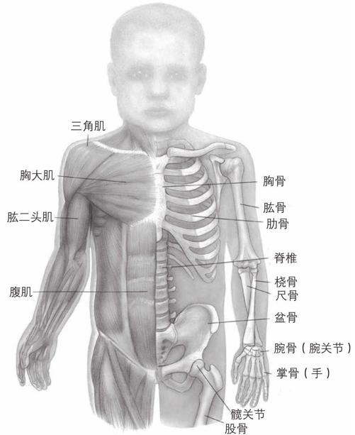 阅读 ‧ 电子书库